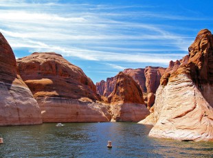 农业农村部：：增强实验室生物清静治理 包管畜牧业生产清静