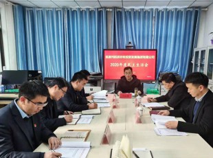 Z6尊龙凯时 召开2020年度向导班子民主生涯会