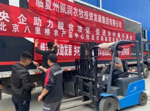 央企助力   工业开展 ——临夏州农特产品入驻北京八里桥农产品中心批发市场